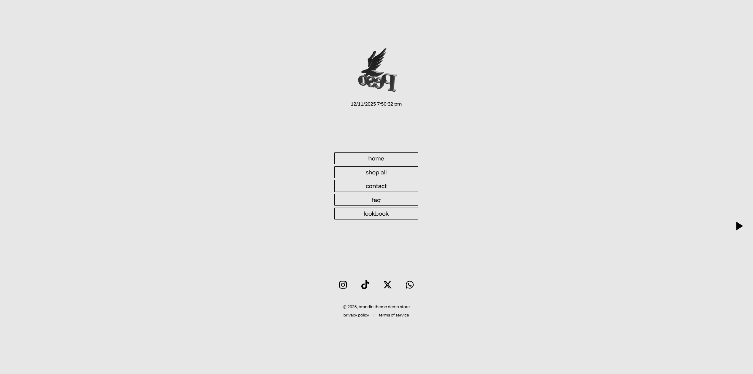 Brandin V3 Demo Store