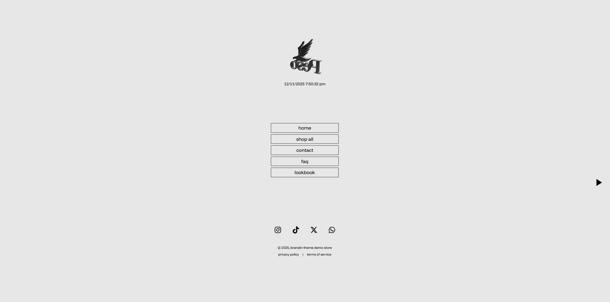 Brandin V3 Demo Store