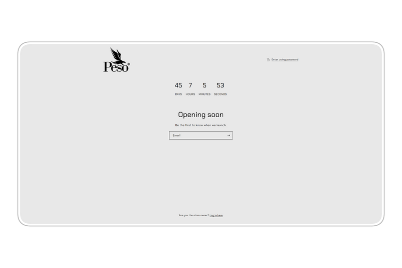 Raw Shopify Theme