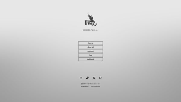 Premium V1 Shopify Theme